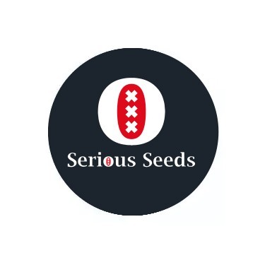Serious Seeds auto